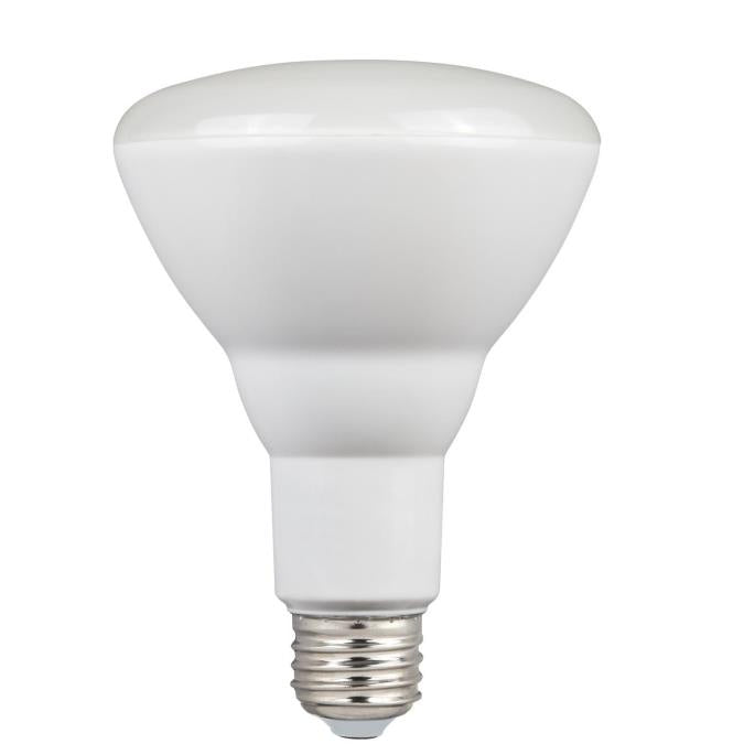 Myhouse Lighting Westinghouse Lighting - 5221000 - Light Bulb - Frost