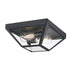 Myhouse Lighting Westinghouse Lighting - 6114300 - Two Light Flush Mount - Wyndham - Textured Black