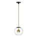 Myhouse Lighting ET2 - E25154-BKNAB - LED Pendant - Nucleus - Black / Natural Aged Brass