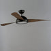 Myhouse Lighting Maxim - 88801OI - 52"Ceiling Fan - Cupola - Oil Rubbed Bronze