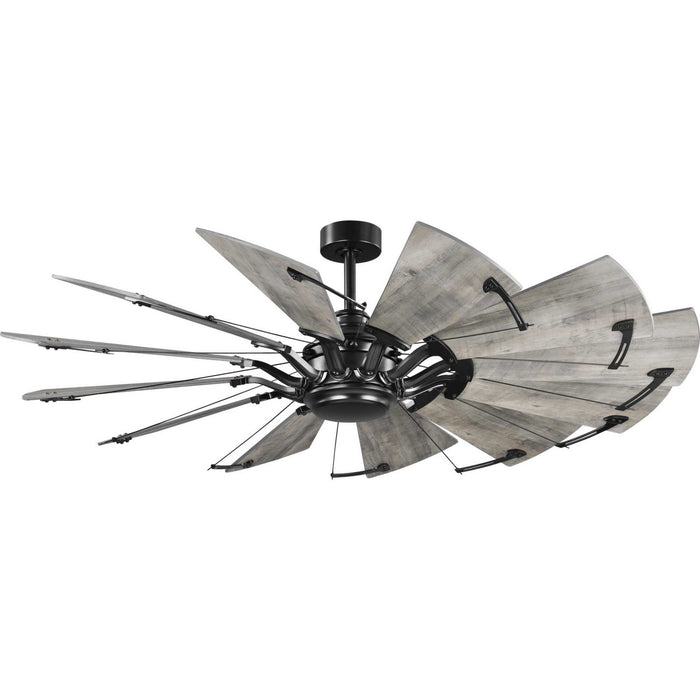 Myhouse Lighting Progress Lighting - P250000-31M - 60" Ceiling Fan - Springer - Matte Black