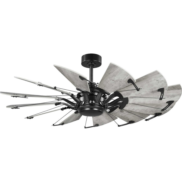 Myhouse Lighting Progress Lighting - P250065-31M - 52"Ceiling Fan - Springer - Matte Black