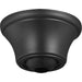 Myhouse Lighting Progress Lighting - P2666-143 - Canopy - Accessory Canopy - Graphite