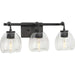 Myhouse Lighting Progress Lighting - P300347-143 - Three Light Bath Bracket - Caisson - Graphite