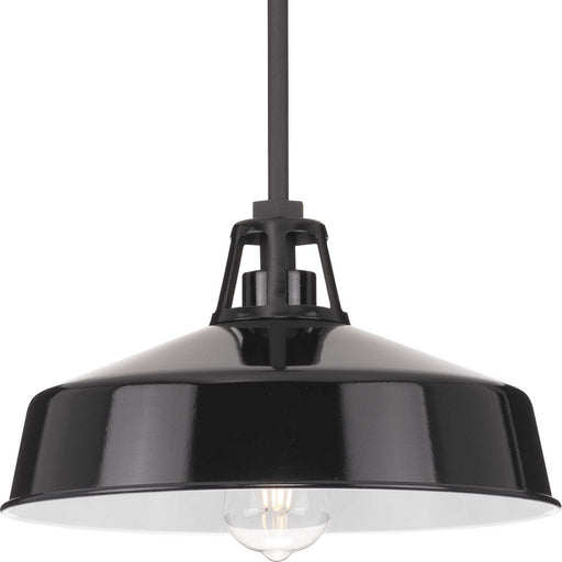 Myhouse Lighting Progress Lighting - P550116-031 - One Light Outdoor Pendant - Cedar Springs - Black