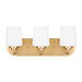 Myhouse Lighting Generation Lighting - 4402803-848 - Three Light Wall / Bath - Windom - Satin Brass