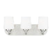 Myhouse Lighting Generation Lighting - 4402803-962 - Three Light Wall / Bath - Windom - Brushed Nickel