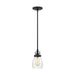 Myhouse Lighting Generation Lighting - 6114501-112 - One Light Mini-Pendant - Belton - Midnight Black