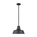 Myhouse Lighting Visual Comfort Studio - 6237401-12 - One Light Outdoor Pendant - Barn Light - Black