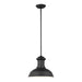 Myhouse Lighting Generation Lighting - 6247701EN3-12 - One Light Outdoor Pendant - Fredricksburg - Black