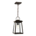 Myhouse Lighting Visual Comfort Studio - 6248401EN3-71 - One Light Outdoor Pendant - Founders - Antique Bronze