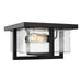 Myhouse Lighting Generation Lighting - 7541502-112 - Two Light Flush Mount - Mitte - Midnight Black