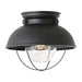 Myhouse Lighting Generation Lighting - 8869EN3-12 - One Light Outdoor Flush Mount - Sebring - Black