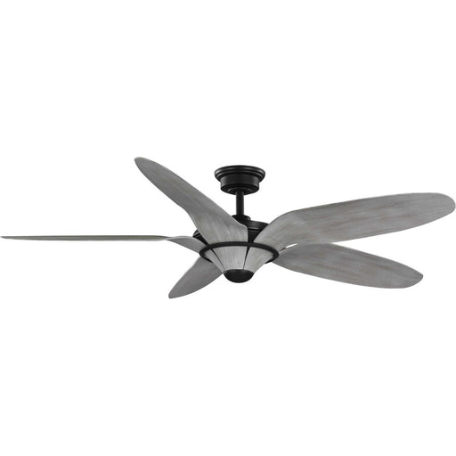 Myhouse Lighting Progress Lighting - P250073-182 - 60" Ceiling Fan - Mesilla - Flat Black