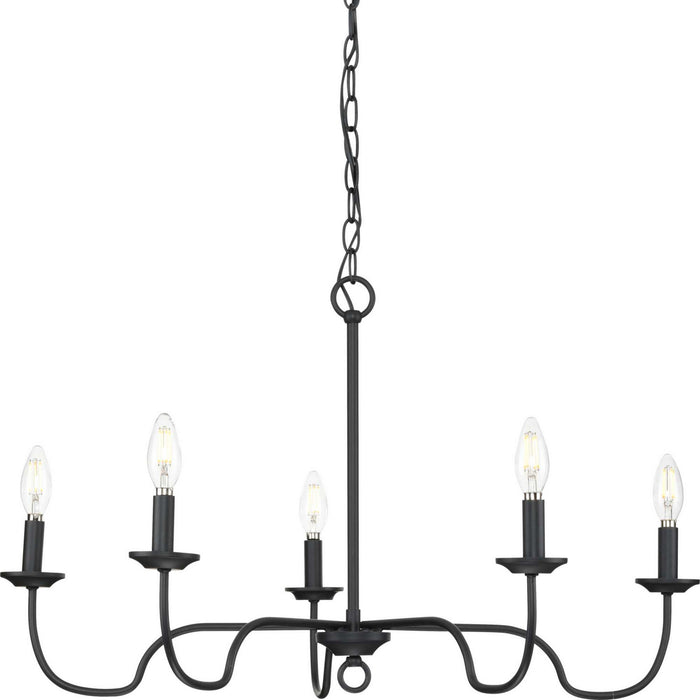 Myhouse Lighting Progress Lighting - P400291-31M - Five Light Chandelier - Canebrake - Matte Black