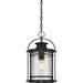 Myhouse Lighting Quoizel - BKR1510K - One Light Mini Pendant - Booker - Mystic Black