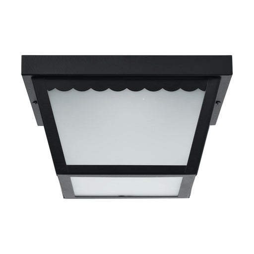 Myhouse Lighting Nuvo Lighting - 62-1572 - LED Flush Mount - Black