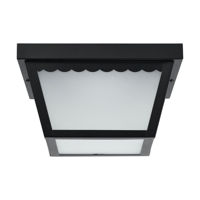 Myhouse Lighting Nuvo Lighting - 62-1572 - LED Flush Mount - Black