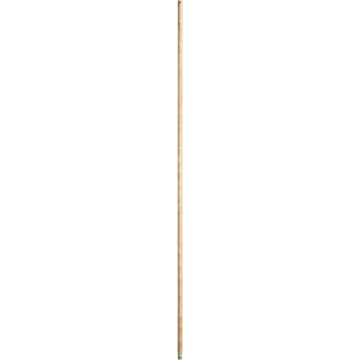 Myhouse Lighting Quorum - 6-6060 - Downrod - 60 in. Downrods - Aged Silver Leaf