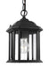 Myhouse Lighting Generation Lighting - 60029-12 - One Light Outdoor Semi-Flush Convertible Pendant - Kent - Black