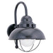 Myhouse Lighting Generation Lighting - 8870-12 - One Light Outdoor Wall Lantern - Sebring - Black