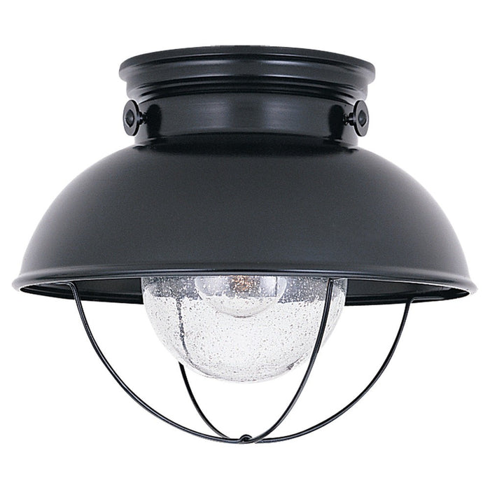 Myhouse Lighting Generation Lighting - 8869-12 - One Light Outdoor Flush Mount - Sebring - Black