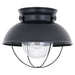 Myhouse Lighting Generation Lighting - 8869-12 - One Light Outdoor Flush Mount - Sebring - Black