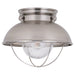 Myhouse Lighting Generation Lighting - 8869-98 - One Light Outdoor Flush Mount - Sebring - Brushed Stainless