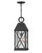 Myhouse Lighting Hinkley - 23302MB - LED Hanging Lantern - Briar - Museum Black