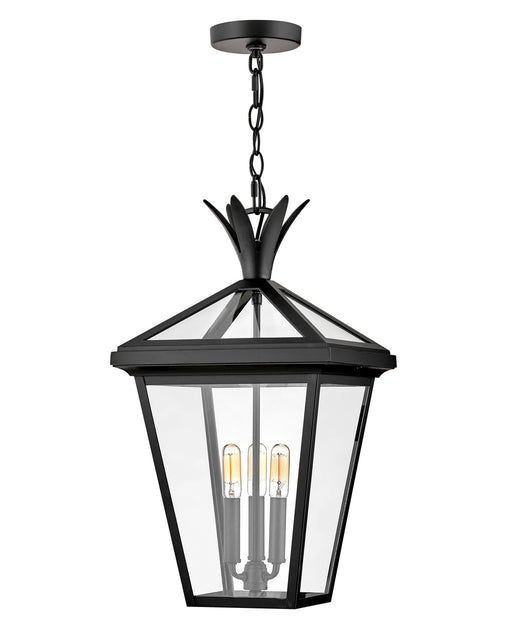 Myhouse Lighting Hinkley - 26092BK - LED Hanging Lantern - Palma - Black