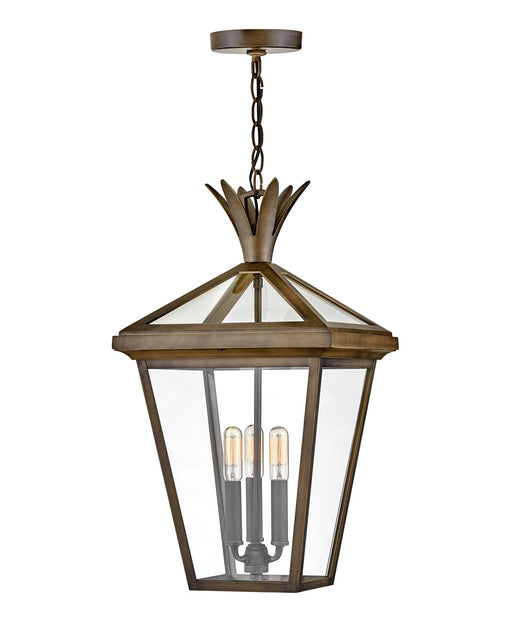 Myhouse Lighting Hinkley - 26092BU - LED Hanging Lantern - Palma - Burnished Bronze