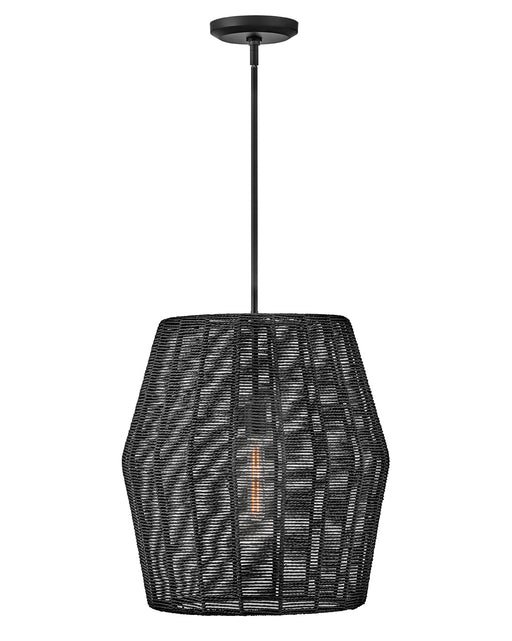 Myhouse Lighting Hinkley - 40387BLK - LED Pendant - Luca - Black