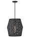 Myhouse Lighting Hinkley - 40387BLK - LED Pendant - Luca - Black