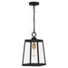 Myhouse Lighting Quoizel - AMBL1908WT - One Light Outdoor Hanging Lantern - Amberly Grove - Western Bronze