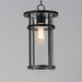 Myhouse Lighting Maxim - 40629CLBK - One Light Outdoor Pendant - Clyde Vivex - Black