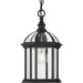 Myhouse Lighting Progress Lighting - P550122-031 - One Light Outdoor Hanging Lantern - Dillard - Black