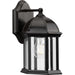 Myhouse Lighting Progress Lighting - P560321-020 - One Light Outdoor Wall Lantern - Dillard - Antique Bronze