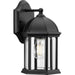 Myhouse Lighting Progress Lighting - P560321-031 - One Light Outdoor Wall Lantern - Dillard - Black