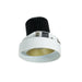 Myhouse Lighting Nora Lighting - NIO-4RTLA50XCHMPW/10 - Adjustable Trim - Rec Iolite - Champagne Haze Adjustable / Matte Powder White Reflector