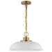 Myhouse Lighting Nuvo Lighting - 60-7480 - One Light Pendant - Colony - Matte White / Burnished Brass