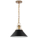 Myhouse Lighting Nuvo Lighting - 60-7523 - One Light Pendant - Outpost - Matte Black / Burnished Brass