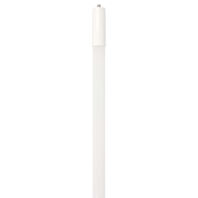 Myhouse Lighting Westinghouse Lighting - 3405100 - Light Bulb - Frost