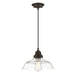 Myhouse Lighting Westinghouse Lighting - 6116600 - One Light Pendant - Iron Hill - Oil Rubbed Bronze With Highlights