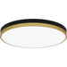 Myhouse Lighting Quoizel - WLN1620MBKG - LED Flush Mount - Weldin - Matte Black Gold