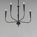 Myhouse Lighting Maxim - 24815BK - Five Light Chandelier - Vela - Black