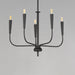 Myhouse Lighting Maxim - 24815BK - Five Light Chandelier - Vela - Black