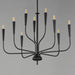 Myhouse Lighting Maxim - 24819BK - Nine Light Chandelier - Vela - Black