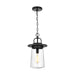 Myhouse Lighting Generation Lighting - 6208901-12 - One Light Outdoor Pendant - Tybee - Black