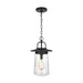 Myhouse Lighting Generation Lighting - 6208901-12 - One Light Outdoor Pendant - Tybee - Black