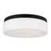 Myhouse Lighting Generation Lighting - 7569093S-112 - LED Flush Mount - Rhett - Midnight Black